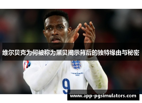 维尔贝克为何被称为黑贝揭示背后的独特缘由与秘密 维尔贝克为何被称为黑贝揭示背后的独特缘由与秘密