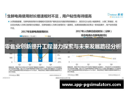 零售业创新提升工程潜力探索与未来发展路径分析