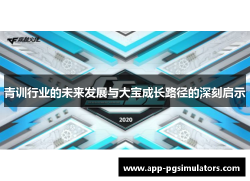 青训行业的未来发展与大宝成长路径的深刻启示